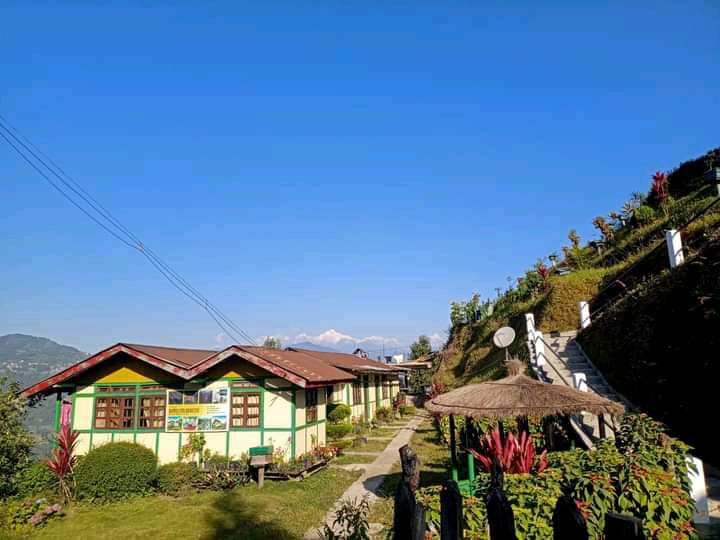Honeycomb Homestay