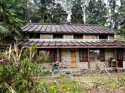Humro Home Pine View Bungalow