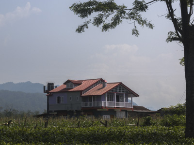 Humro Home Gulma